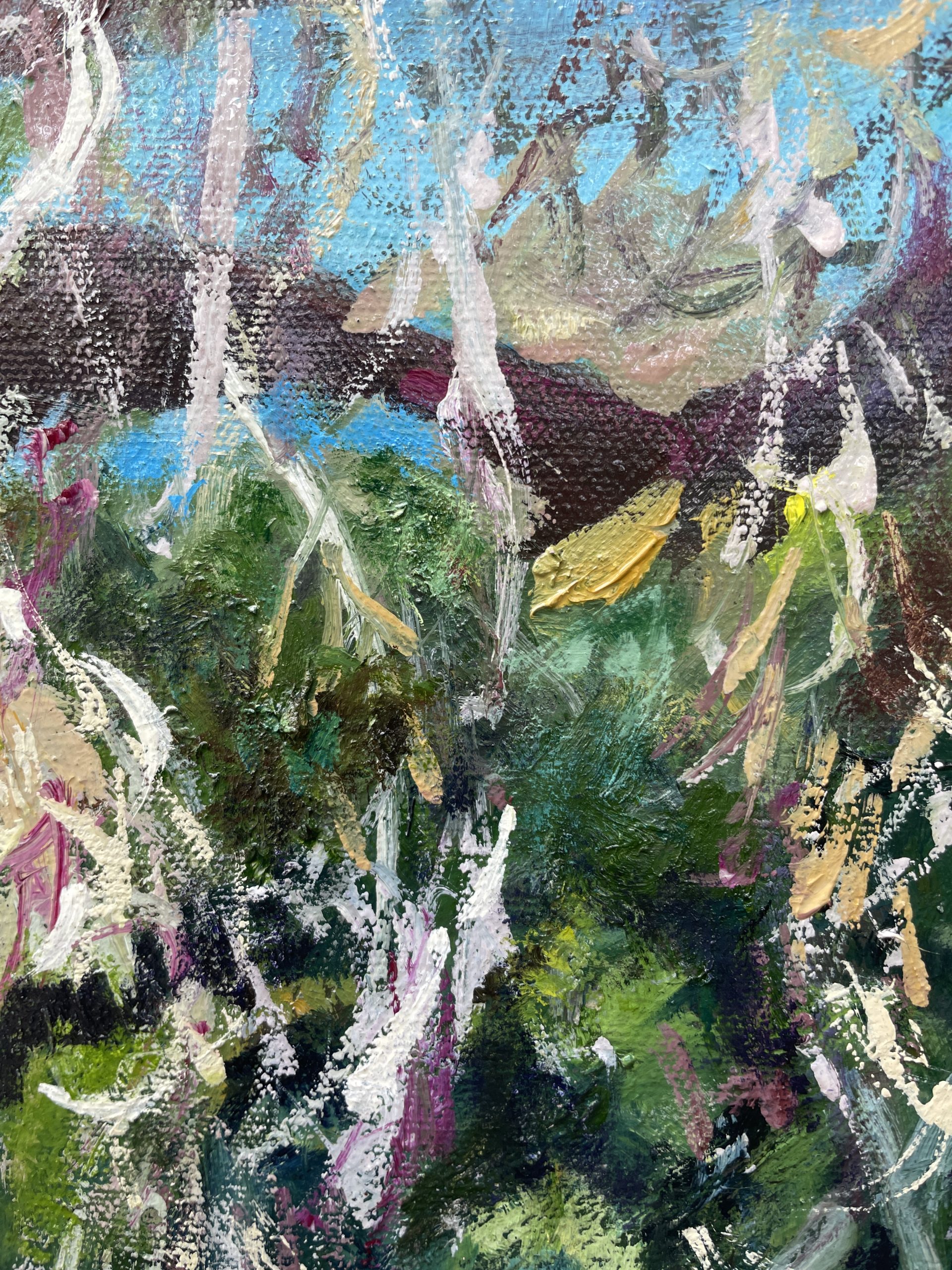 Torrens River From The Bridge Closeup 3