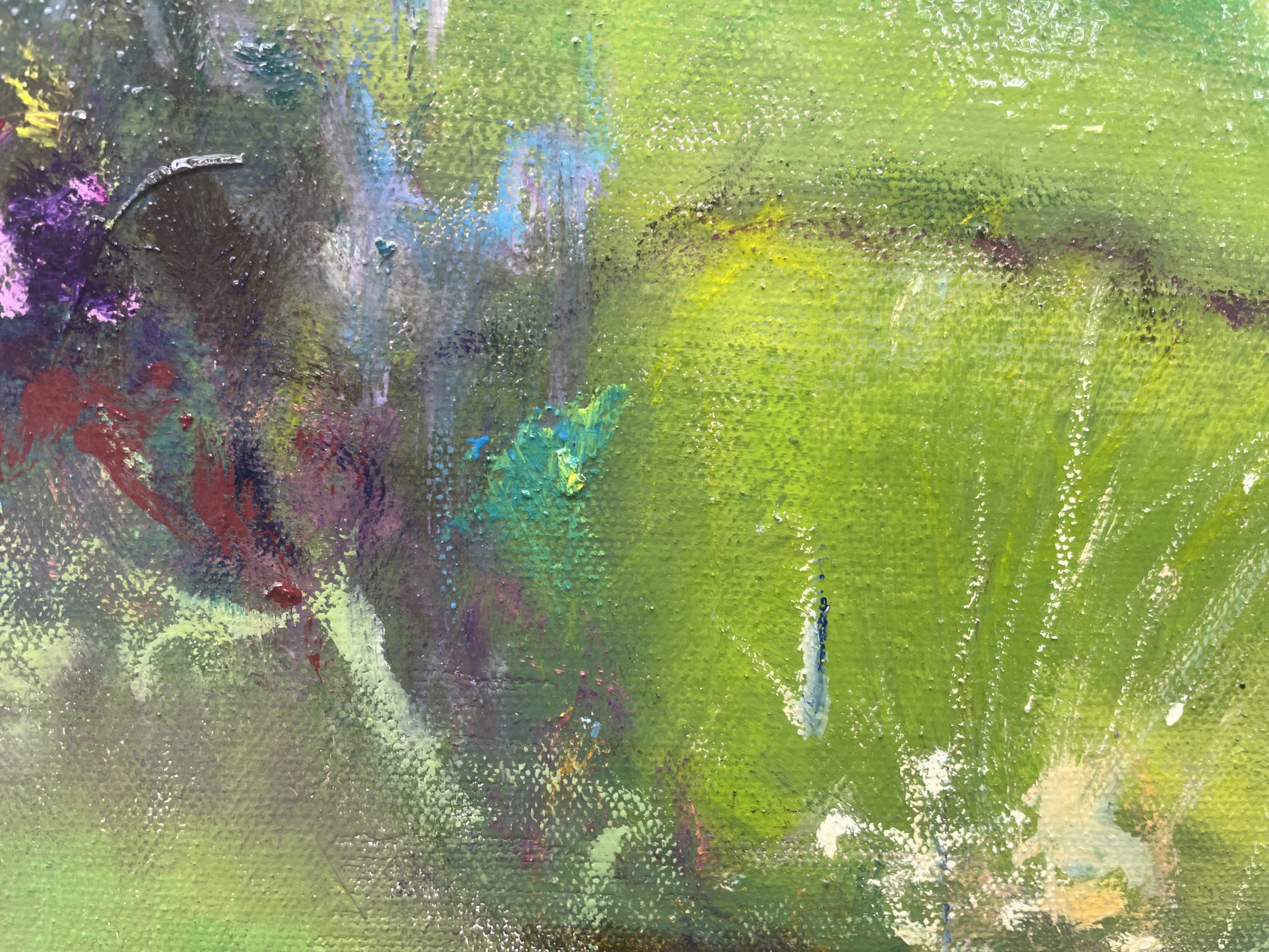 Torrens River From The Brige Closeup 1