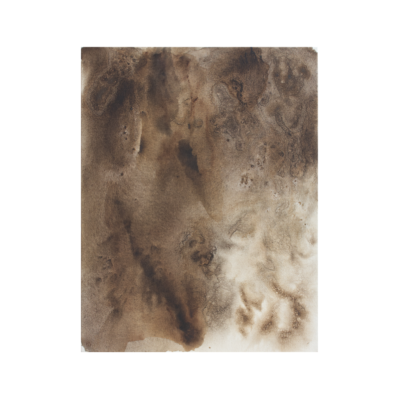 Echoes Of The Past Aging In Stillness