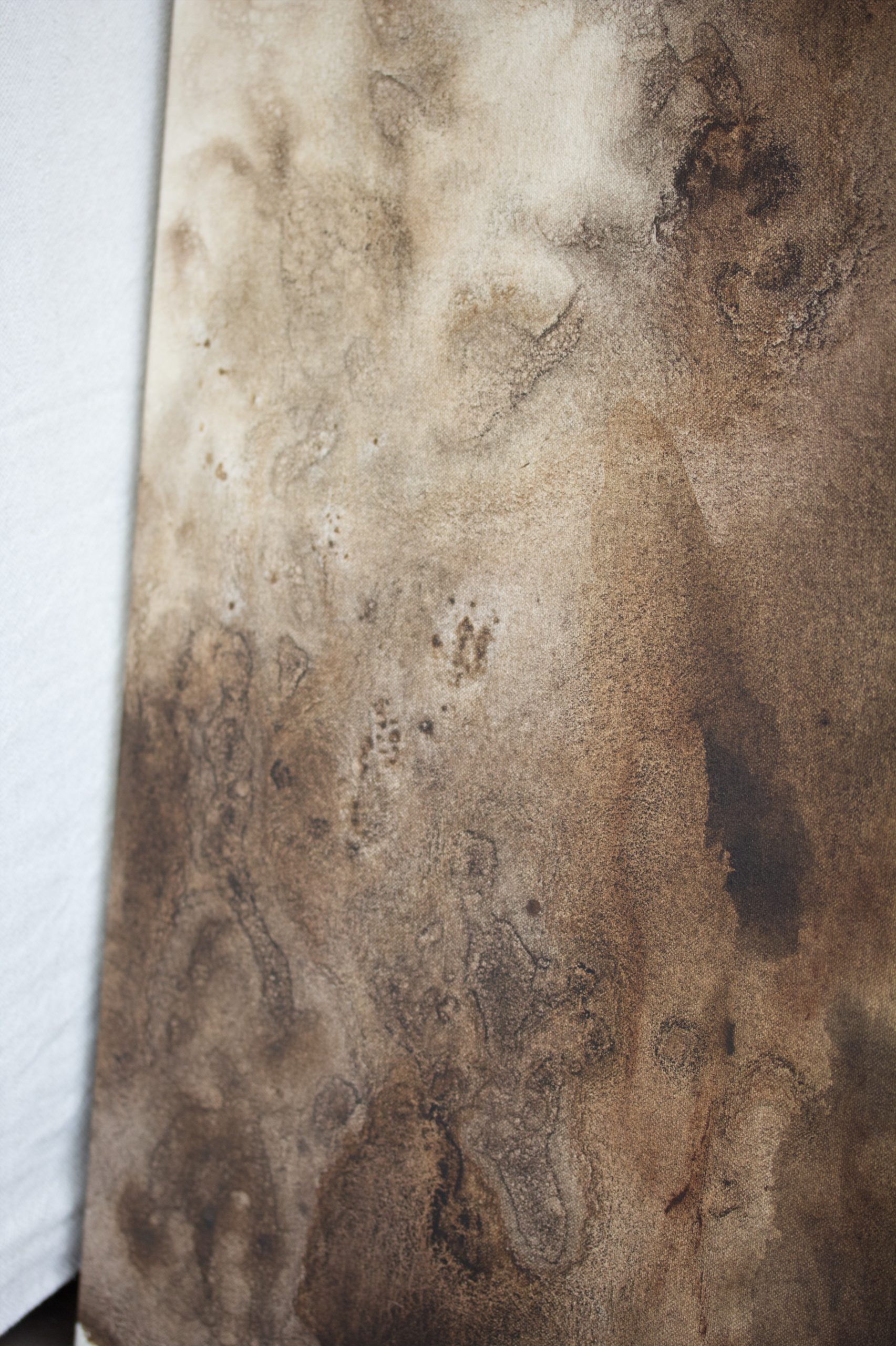 Aging In Stillness 02 D01