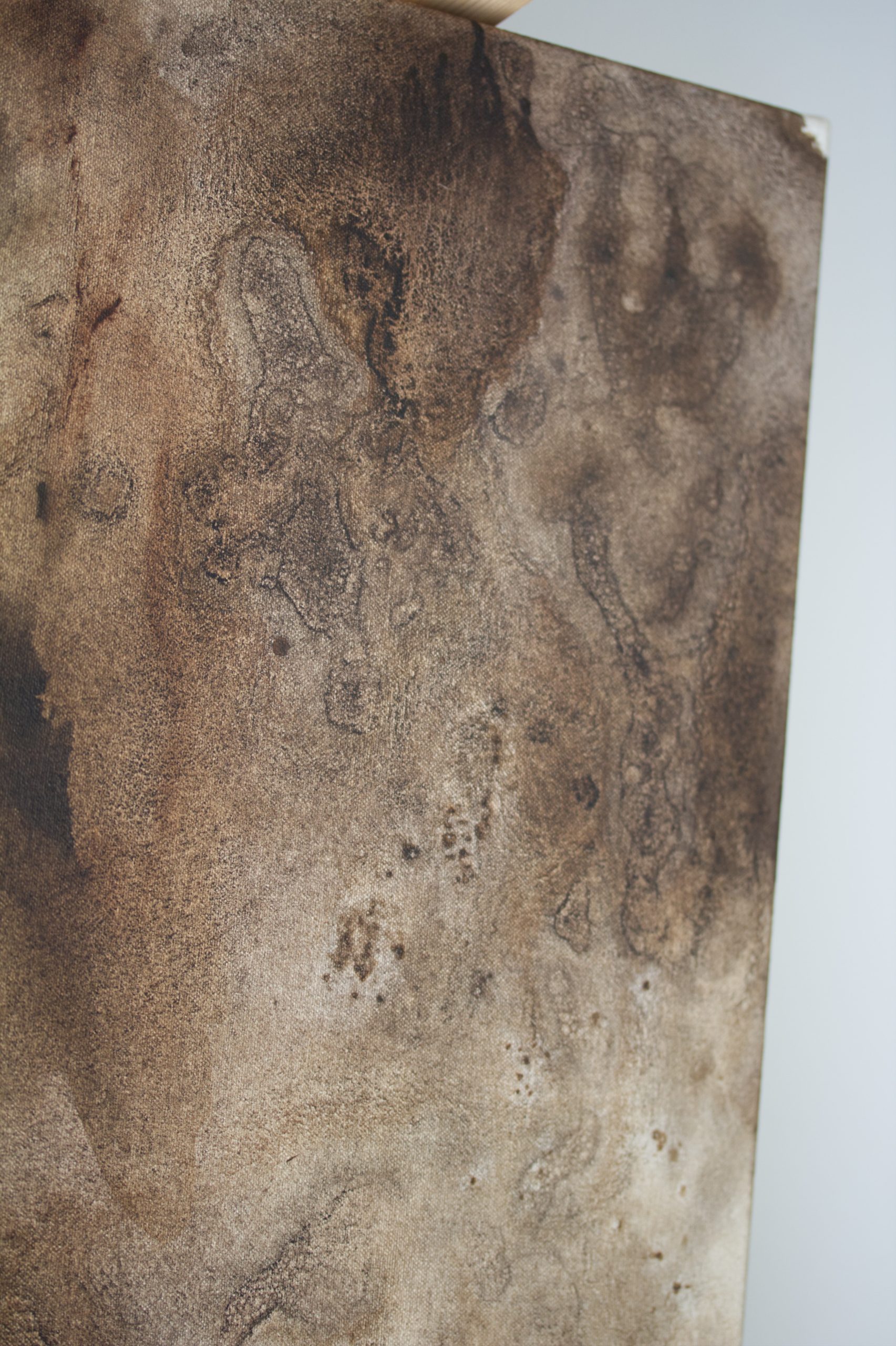 Aging In Stillness 02 D3