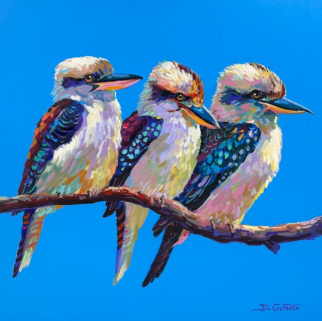 Three Kookaburras III