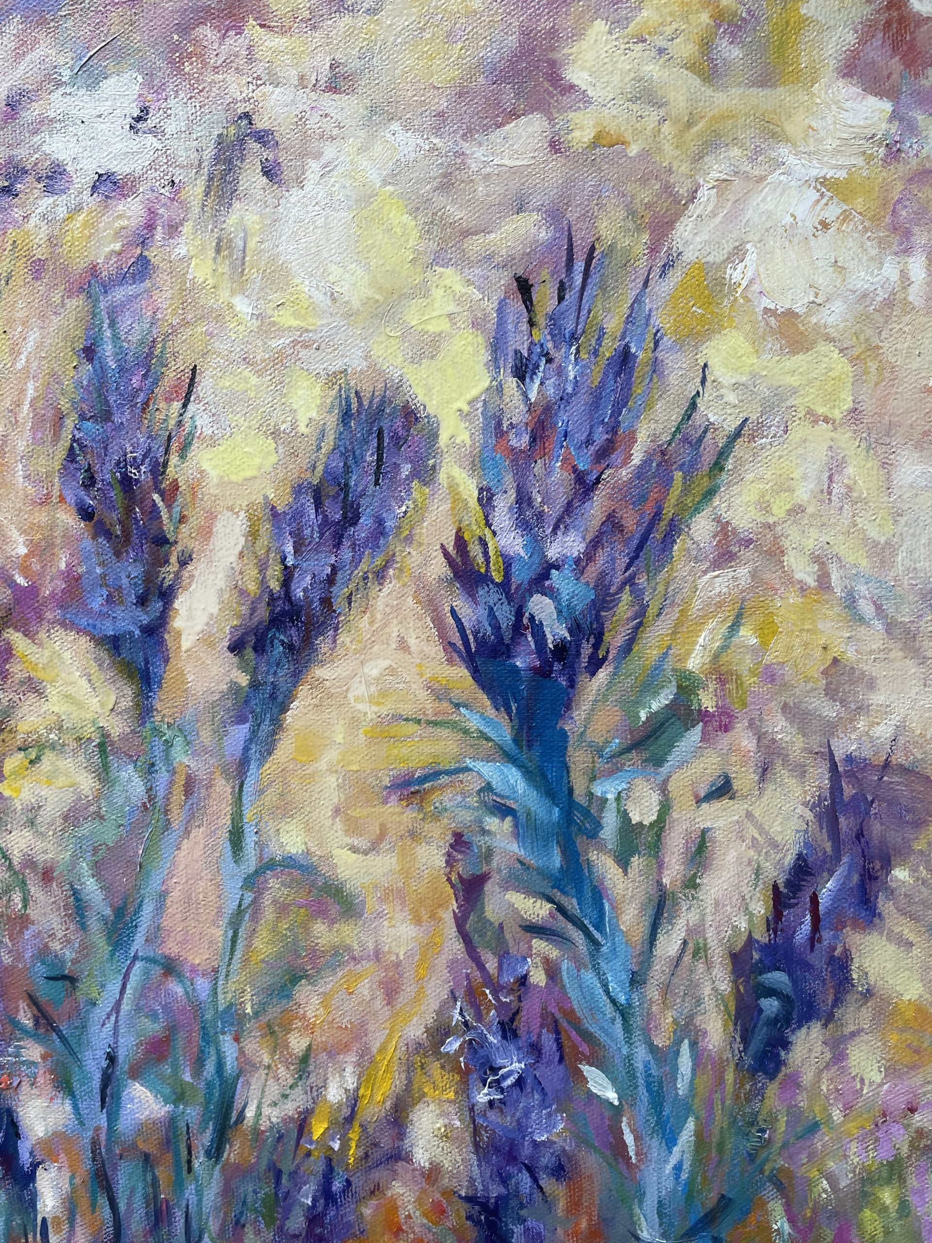 My Lavender Is In Flower Closeup 1