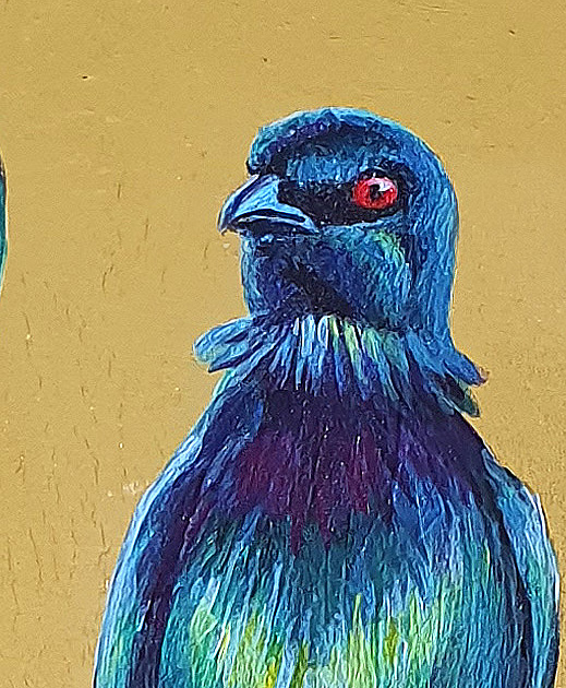 Metallic Starlings Det2