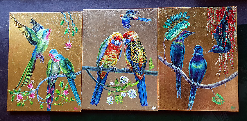 Parrots And Starlings Sm