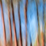 User 32848 John Salm 2025 10 07 T 04 52 26 698 Z Sydney 2019 1883.jpg