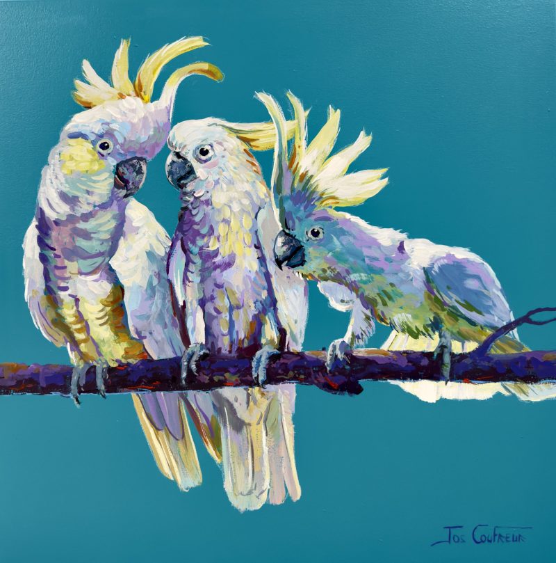 Yellow Crested Cockatoos