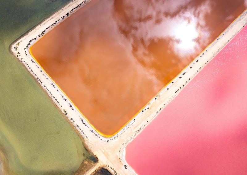 Triumvirate Ed. 1 of 1