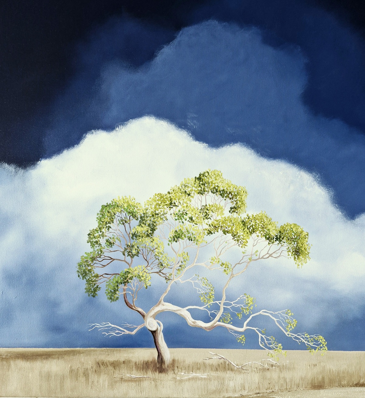 The Watcher Of The Dust Road Lucinda Leveille 3