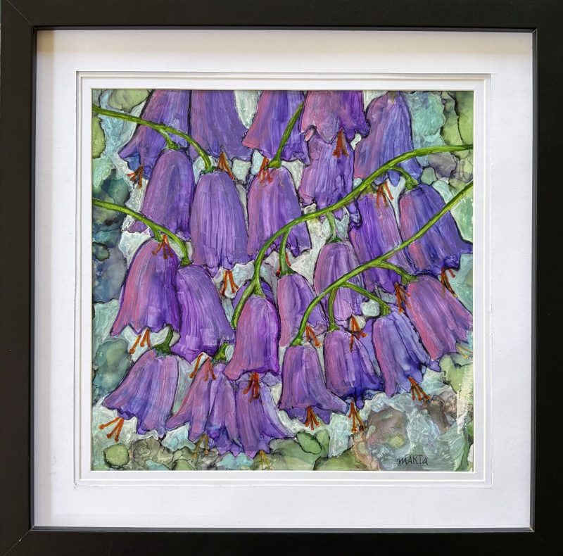 Bluebells – a Symbol of Love