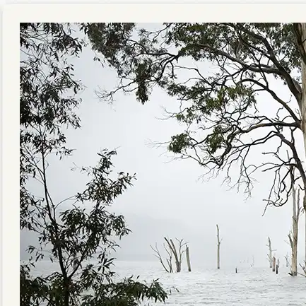 Goodbyetotheghostships Detail01