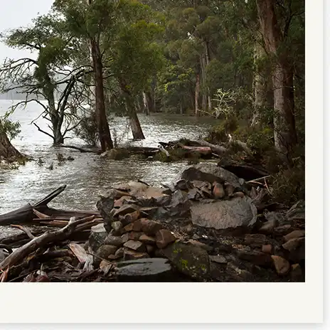 Goodbyetotheghostships Detail02