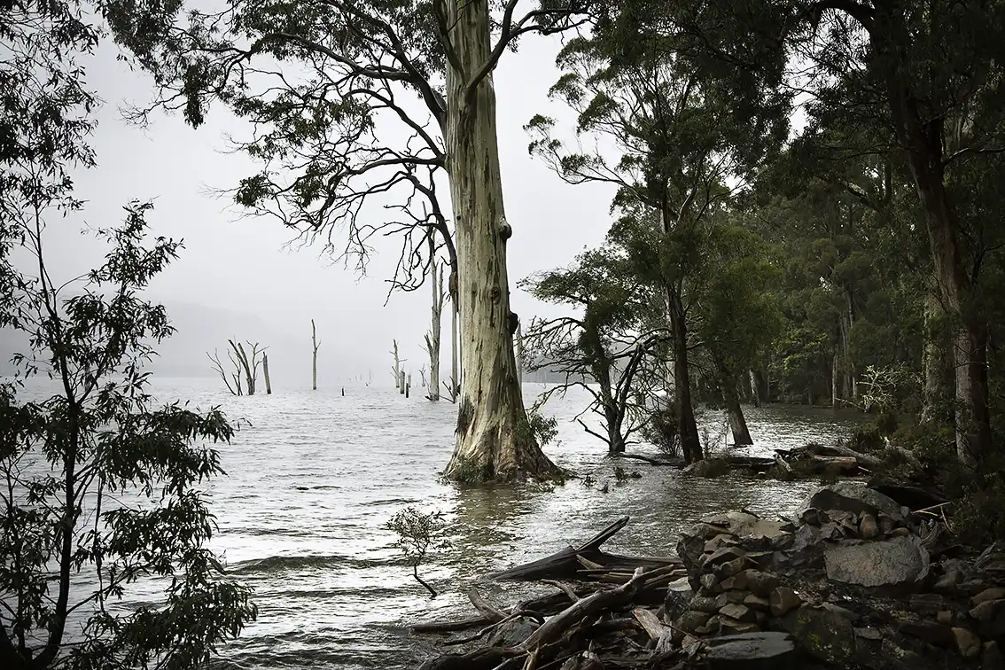 Goodbyetotheghostships