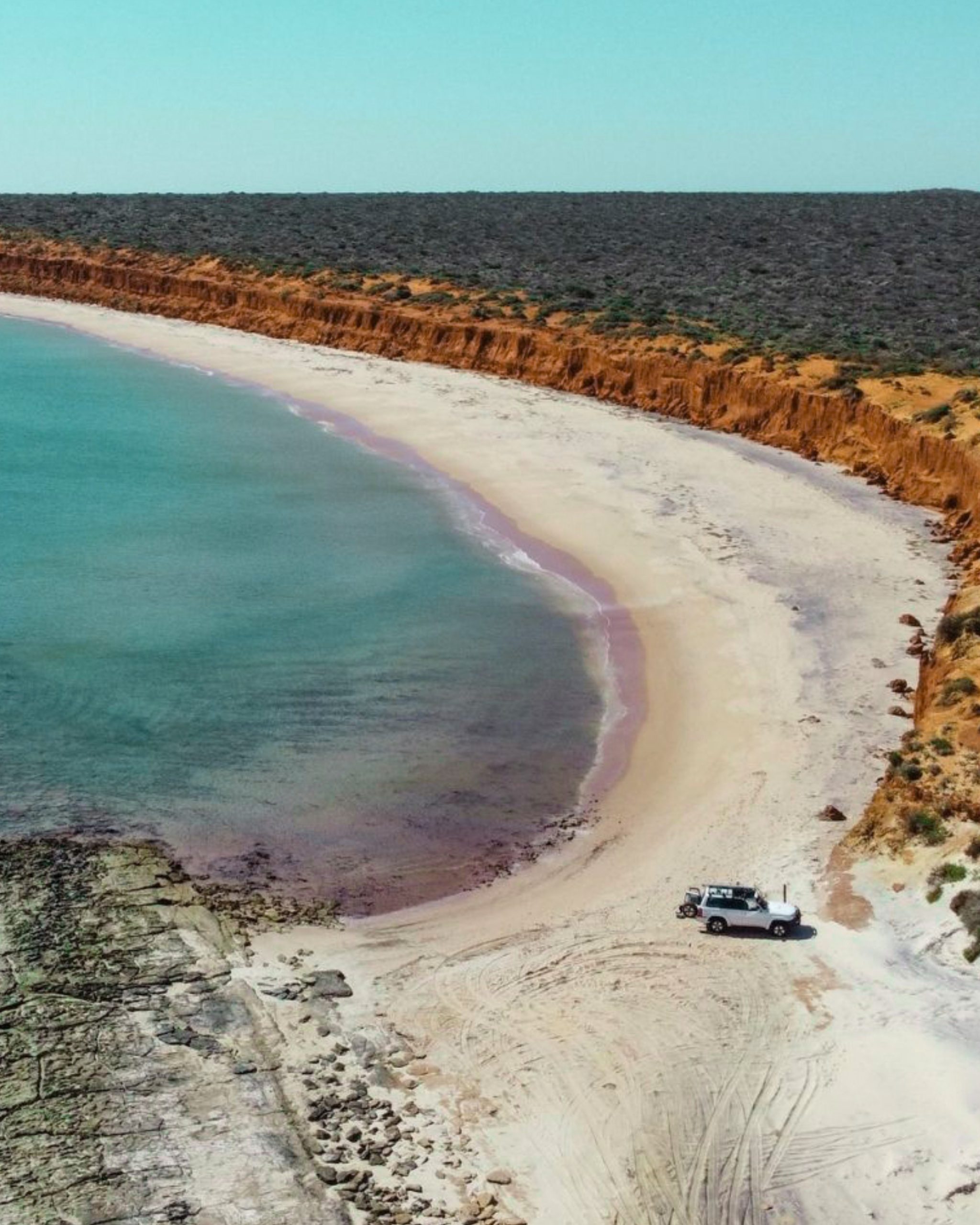 Untitled Design (6) Copy