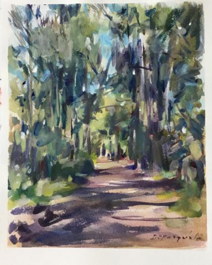 Bush Track Templestowe