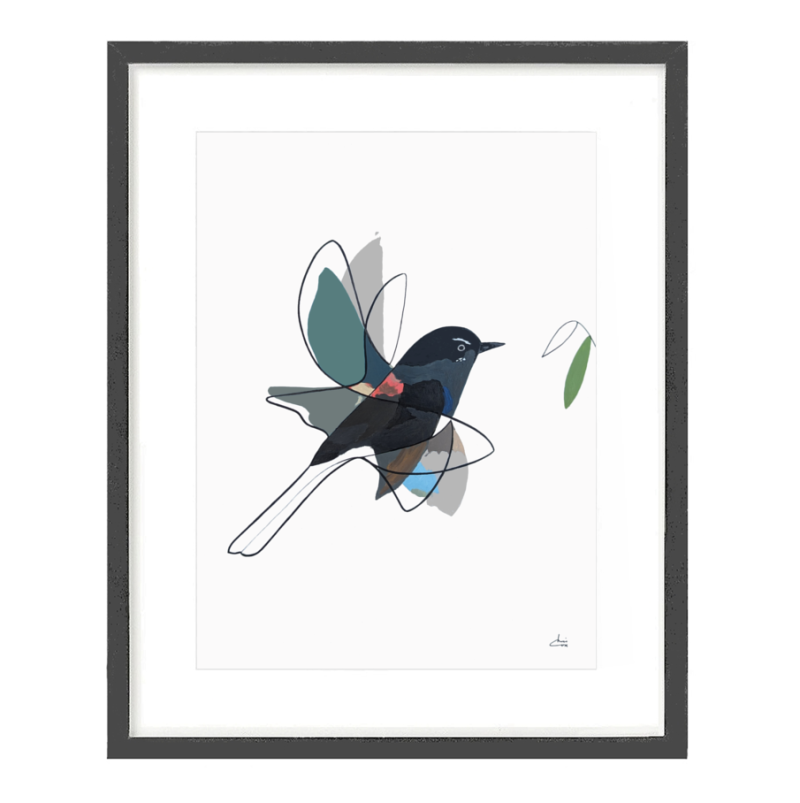 Truemotion Willy Wagtail