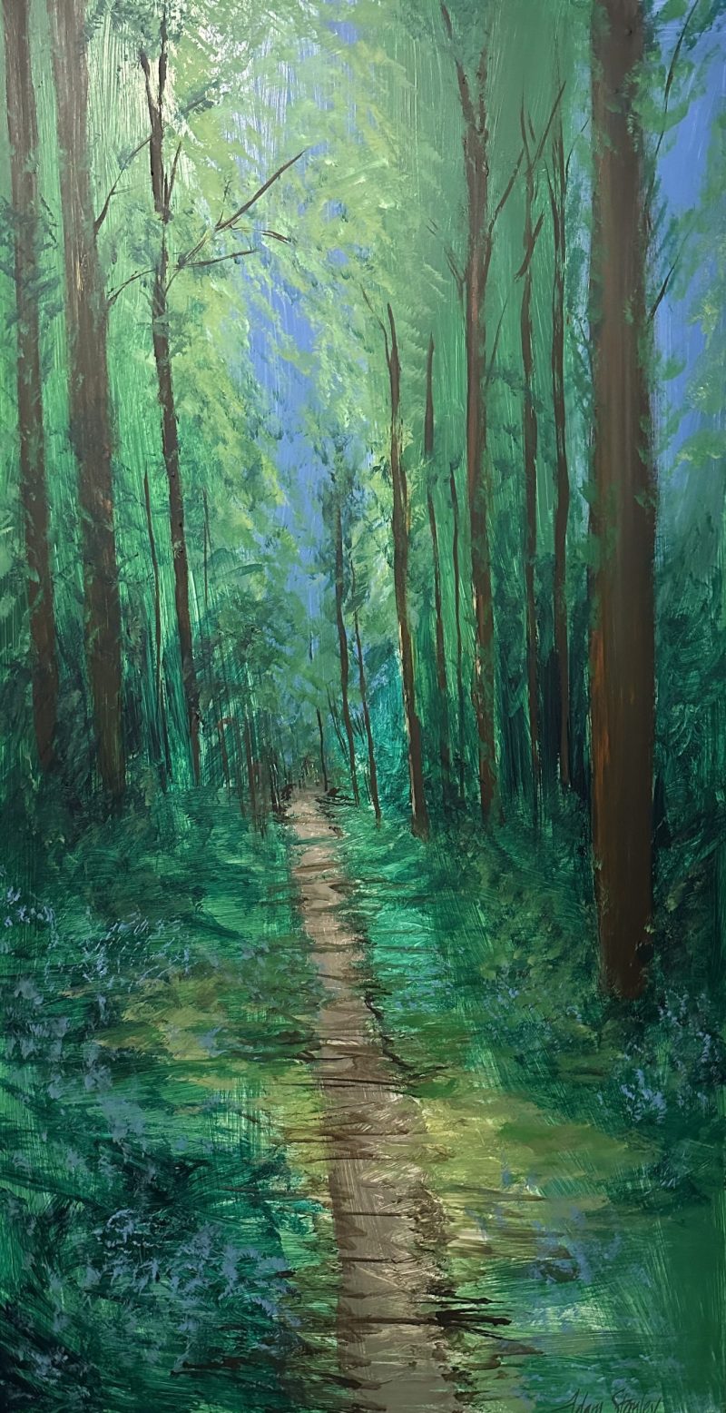 Favourite walking track