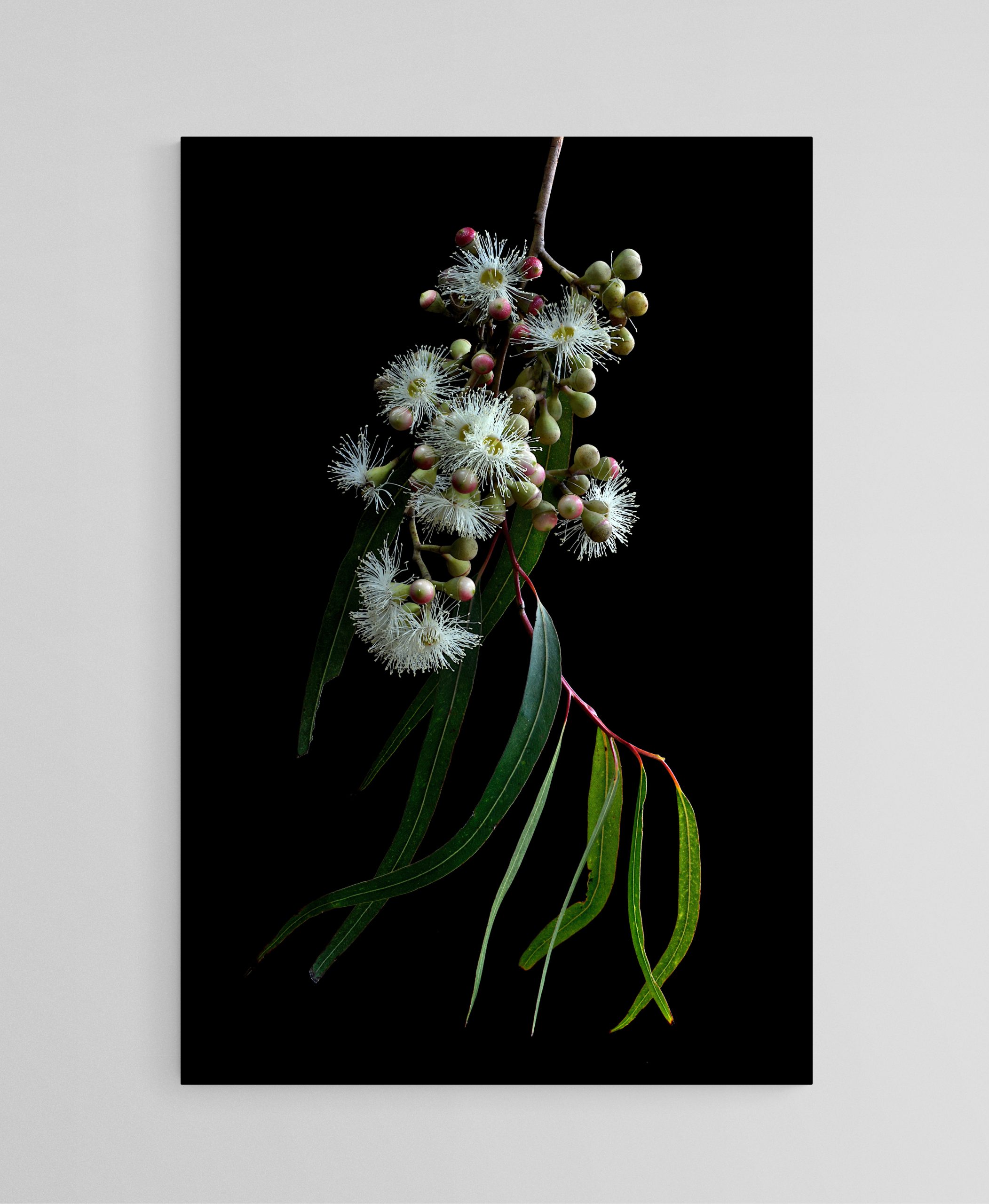 Empty Room 2025 09 29t161653.274