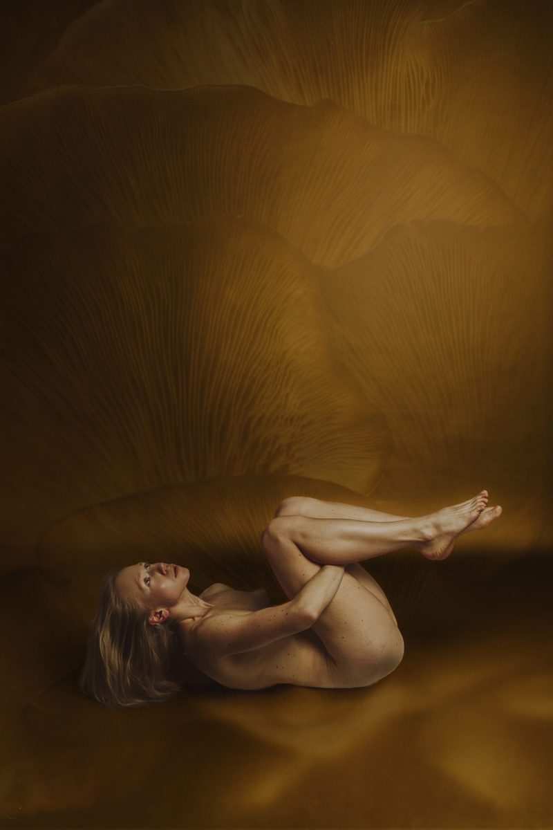 Renaissance of the Self