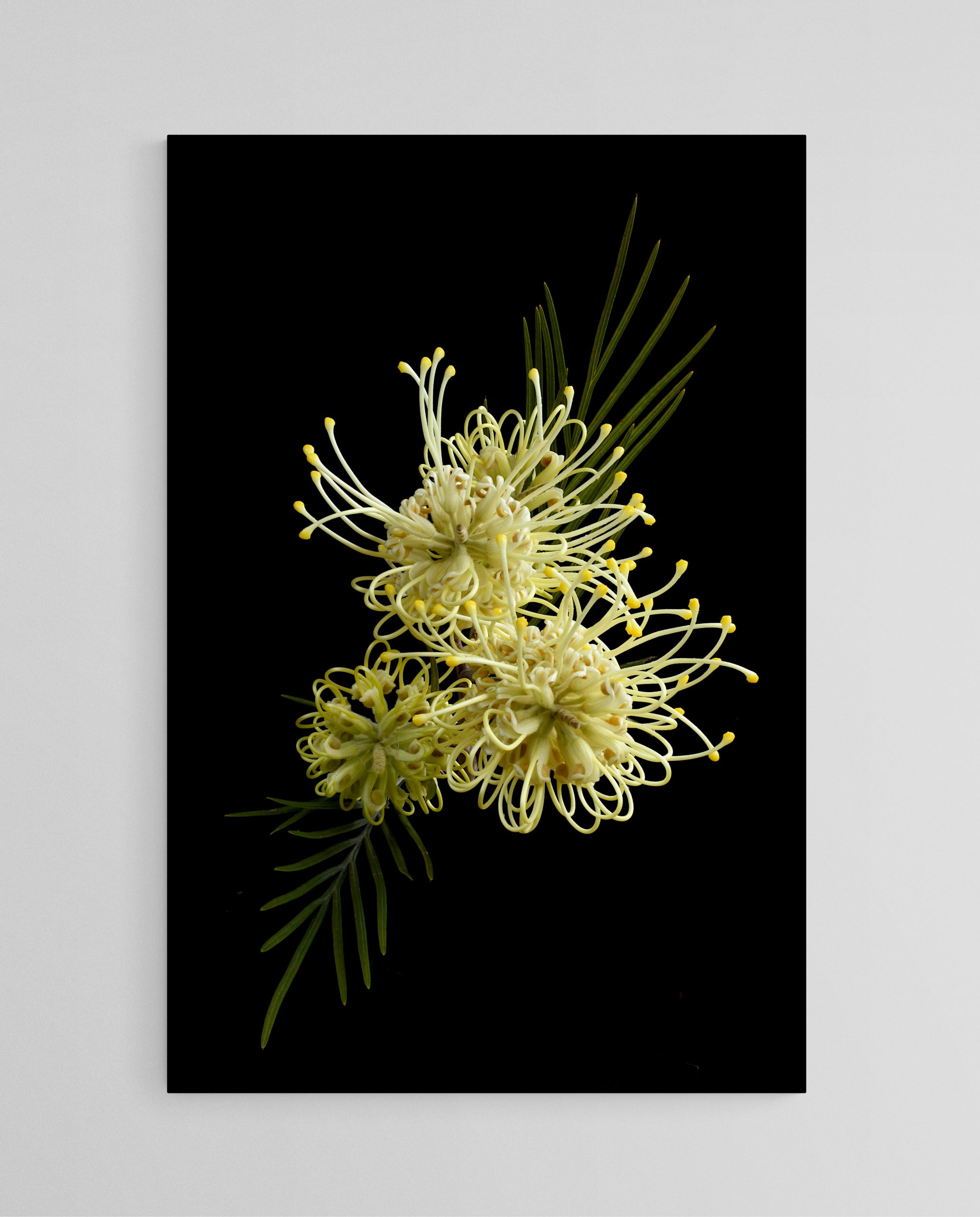 Empty Room 2025 10 10t150519.221