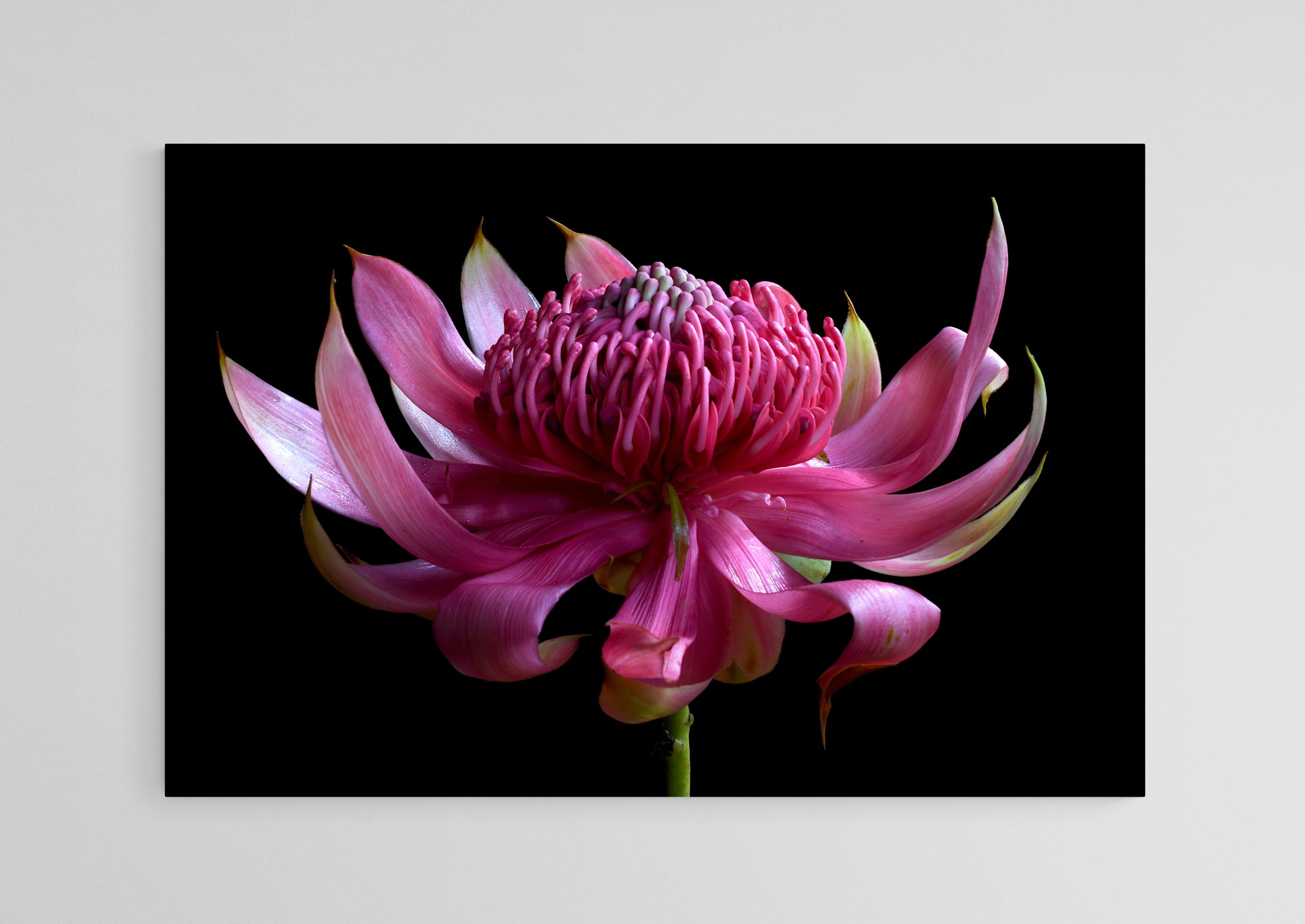 Empty Room 2025 10 13t133808.816