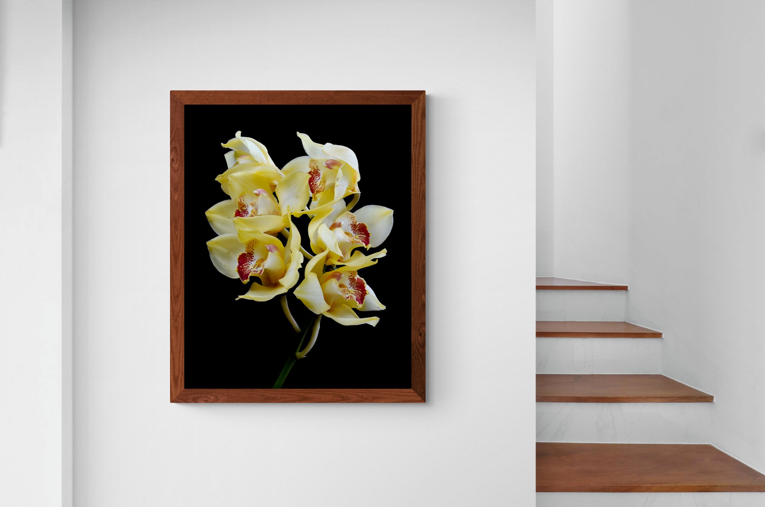 Interior Feature Wall Next To Staircase (27)