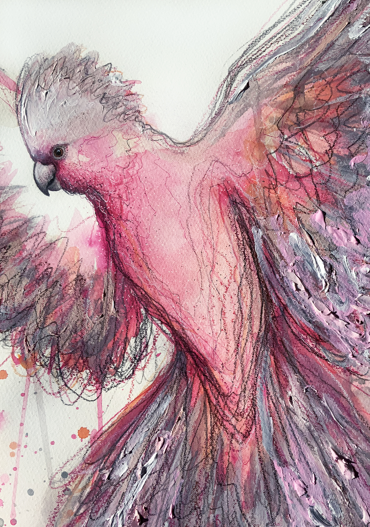 Leni Kae Galah Spirit A2 Closeup