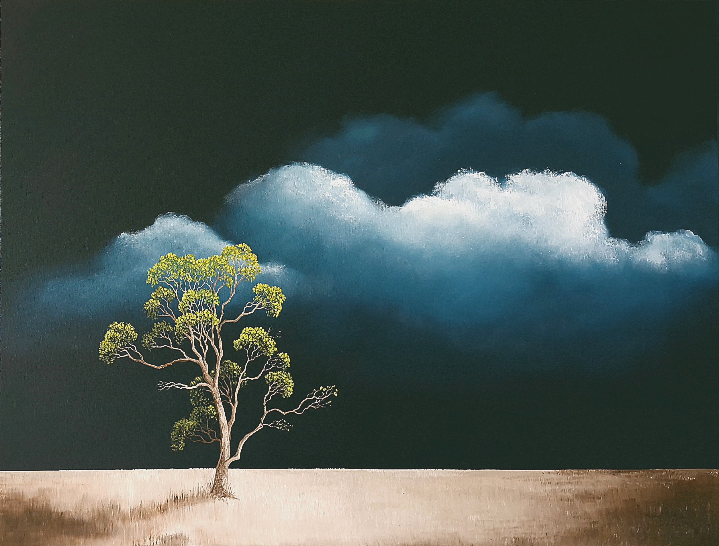 Whispering Horizon Lucinda Leveille