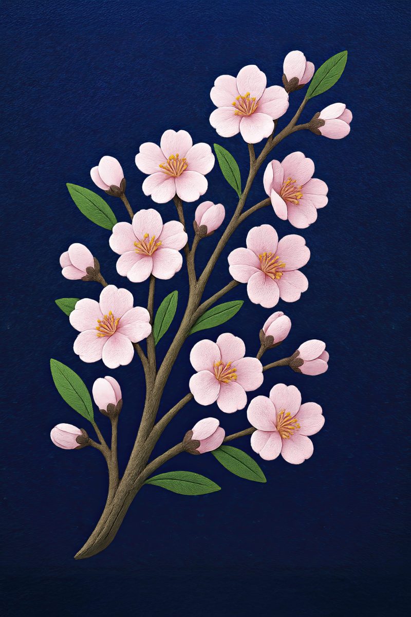 Cherry Blossom – Ltd Ed Print