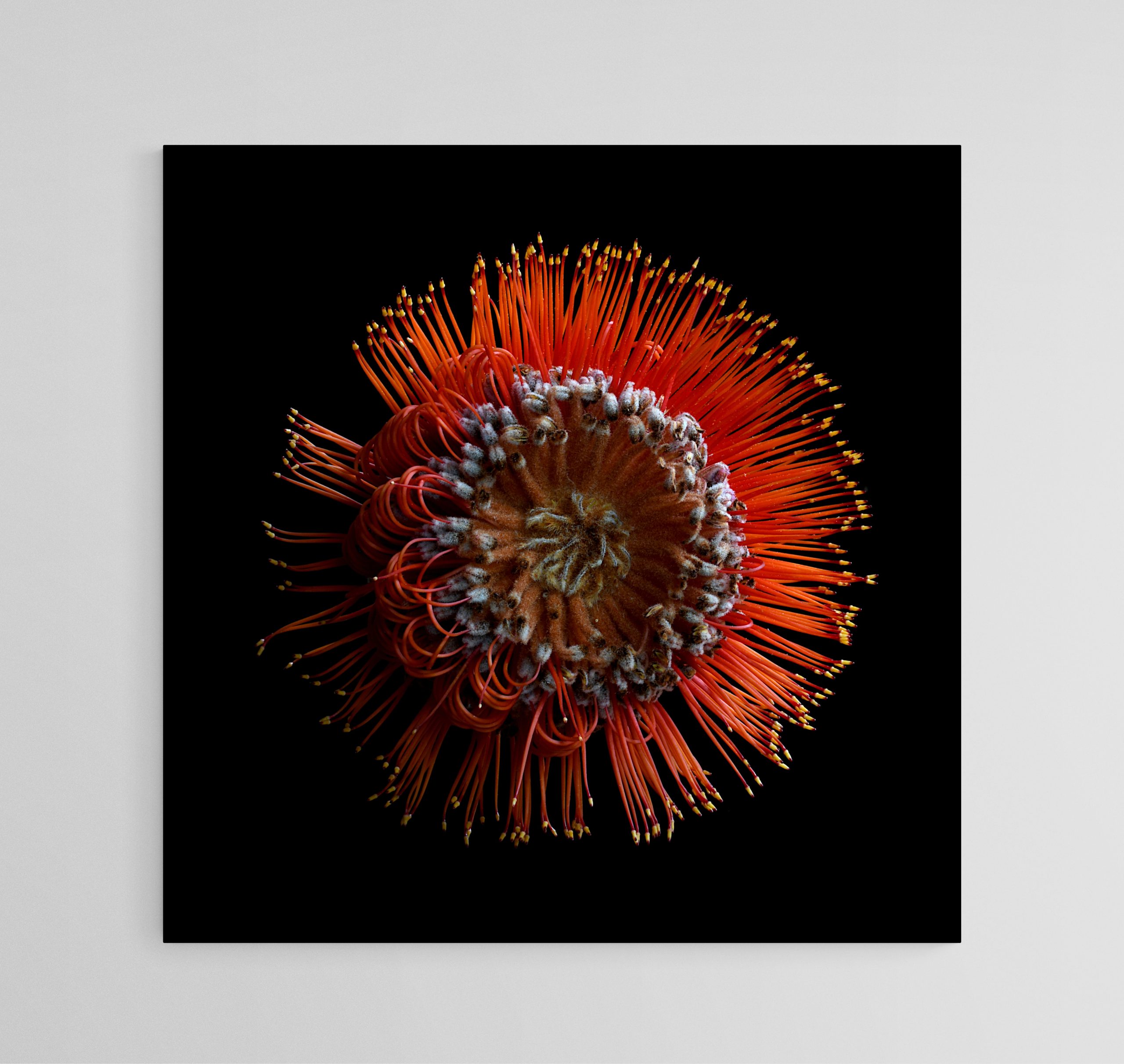 Empty Room 2025 10 20t155704.422