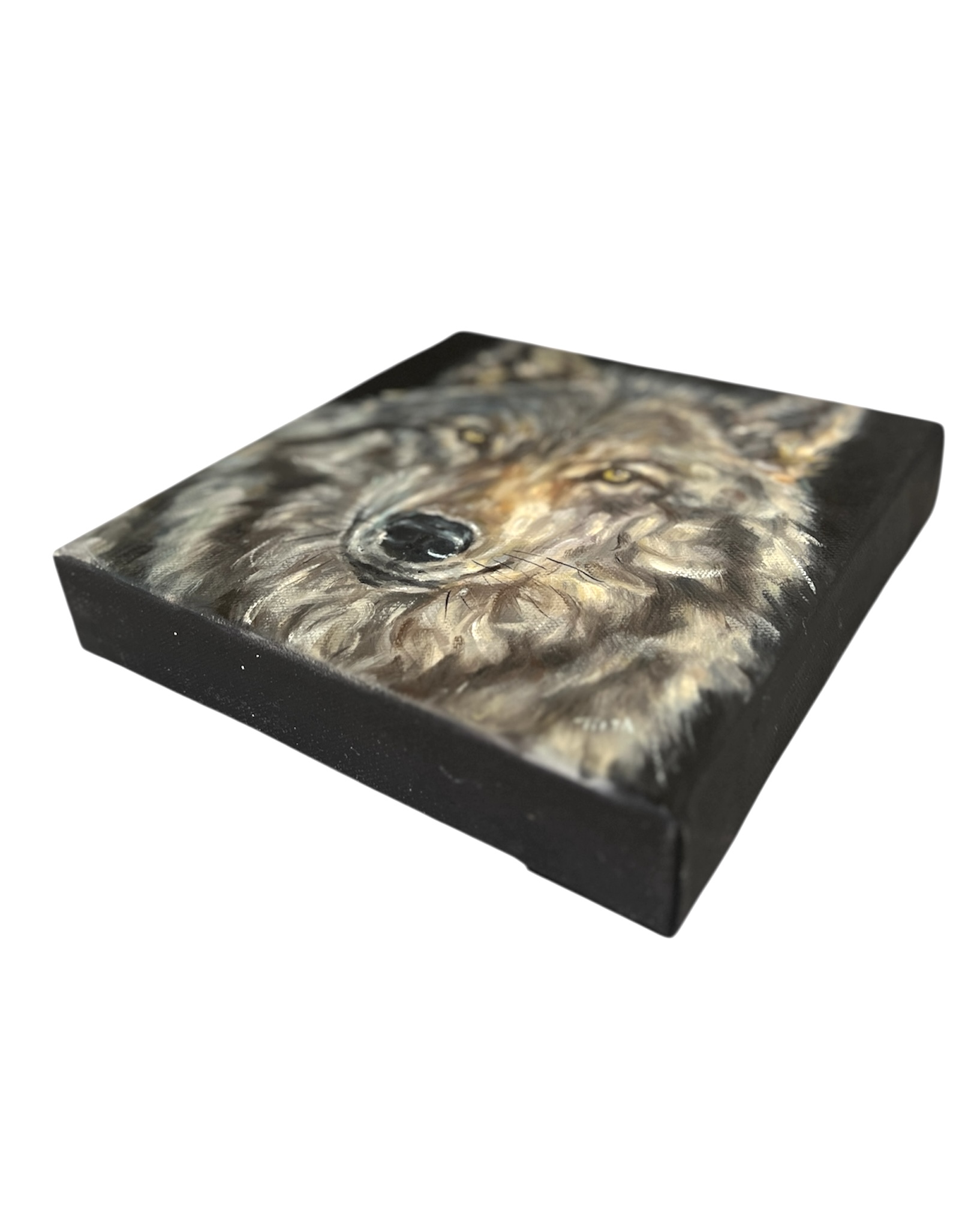 Photoroom 20251024 151835