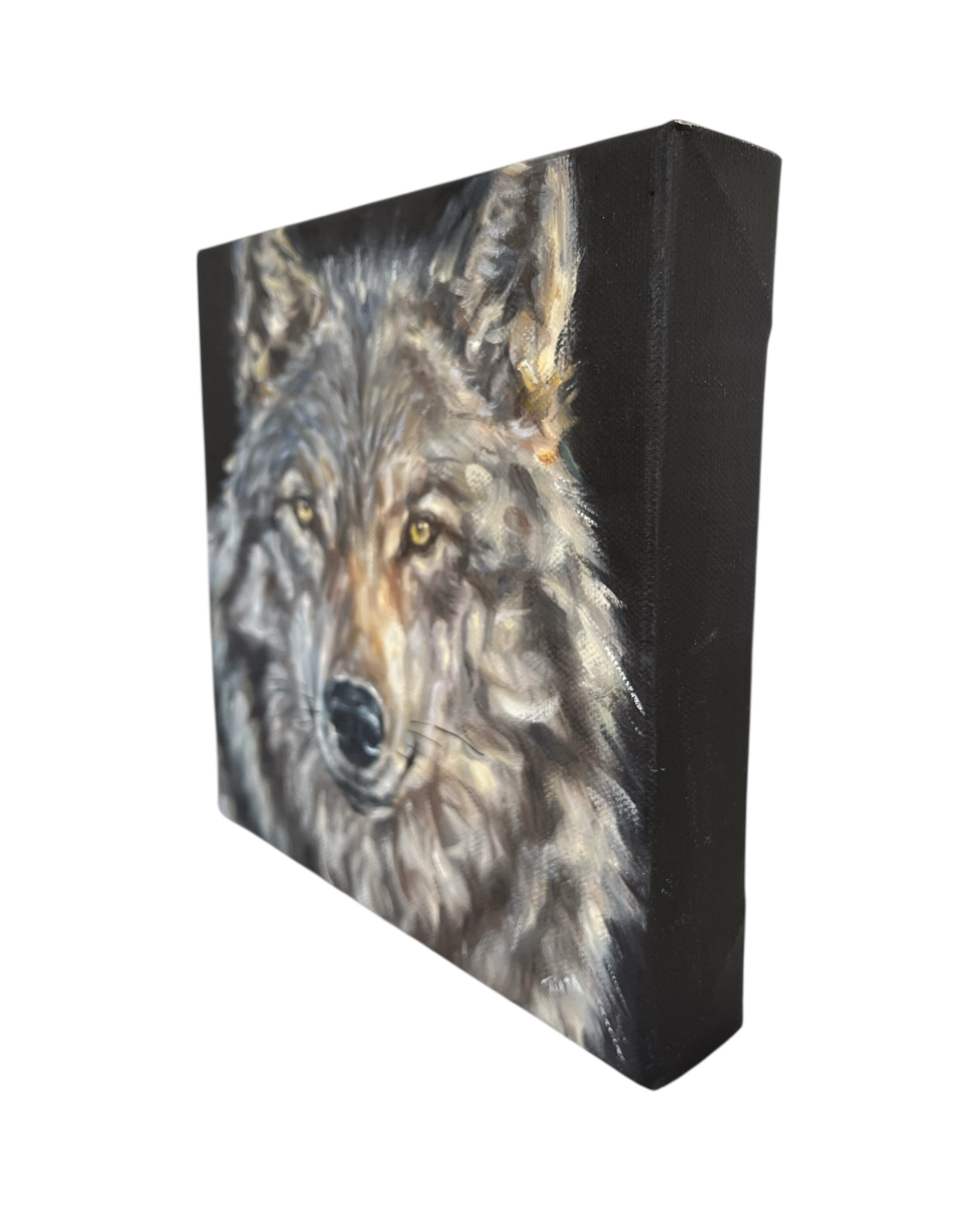 Photoroom 20251024 151856