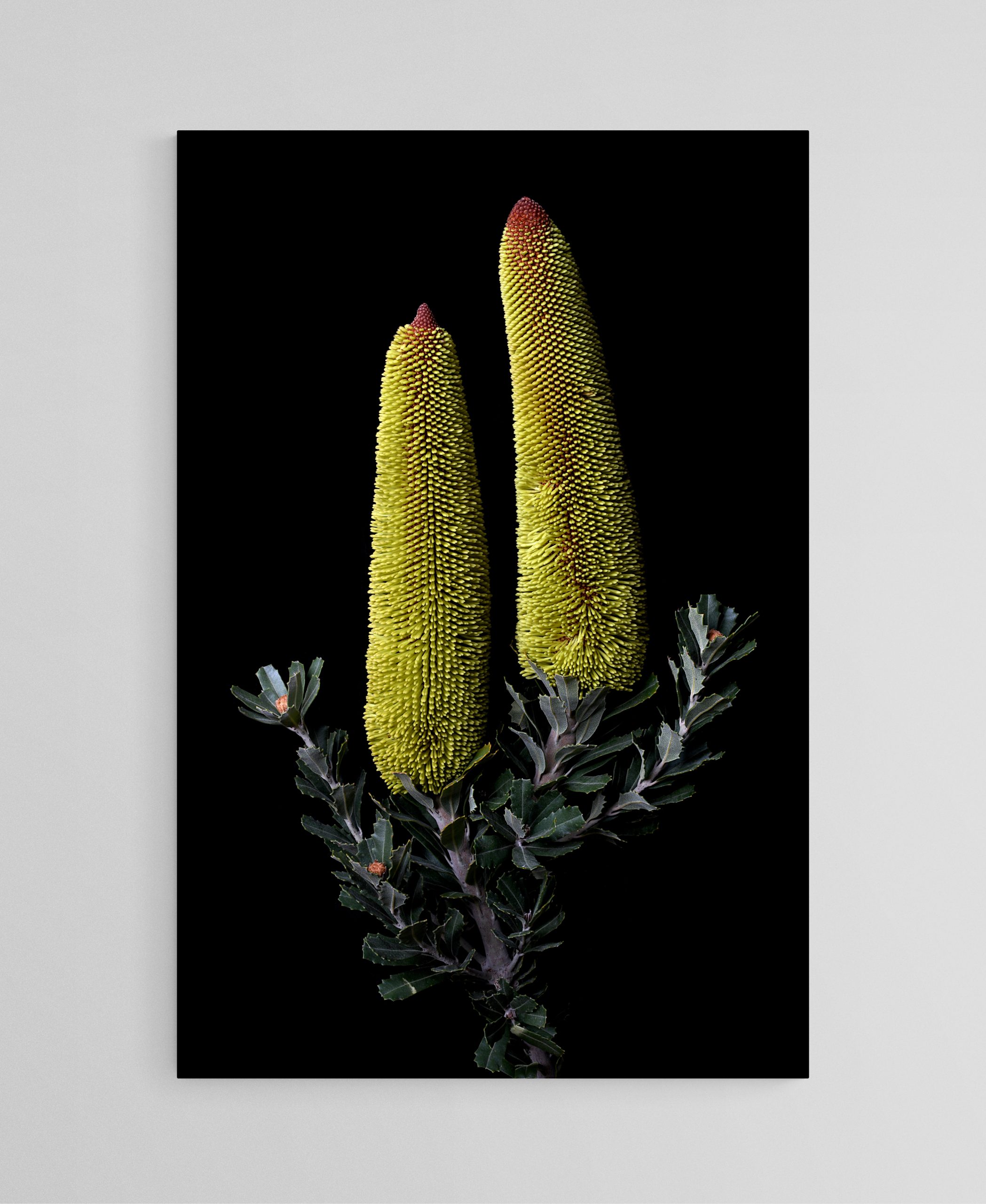 Empty Room 2025 10 17t190955.863