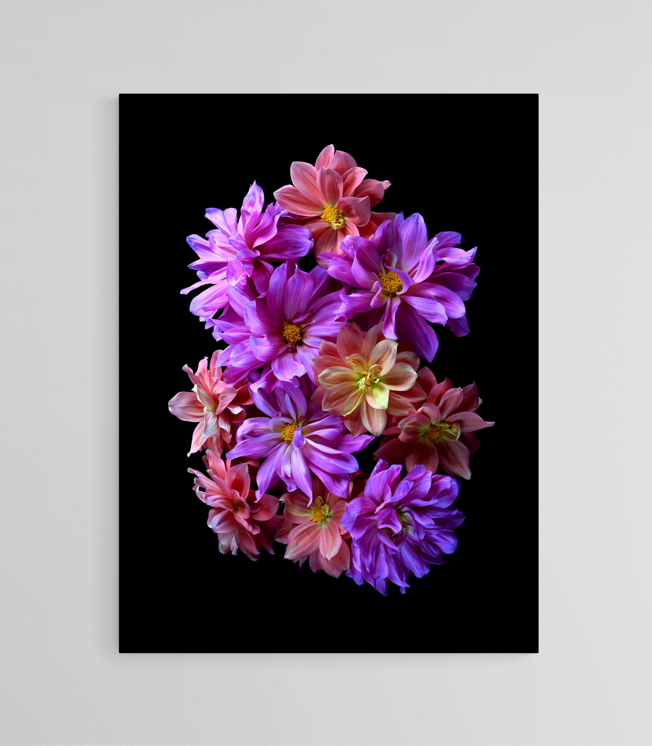 Empty Room 2025 10 16t112735.013