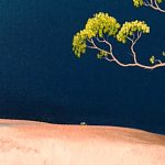 The Dry Road Lucinda Leveille 1800x720 Acf Cropped