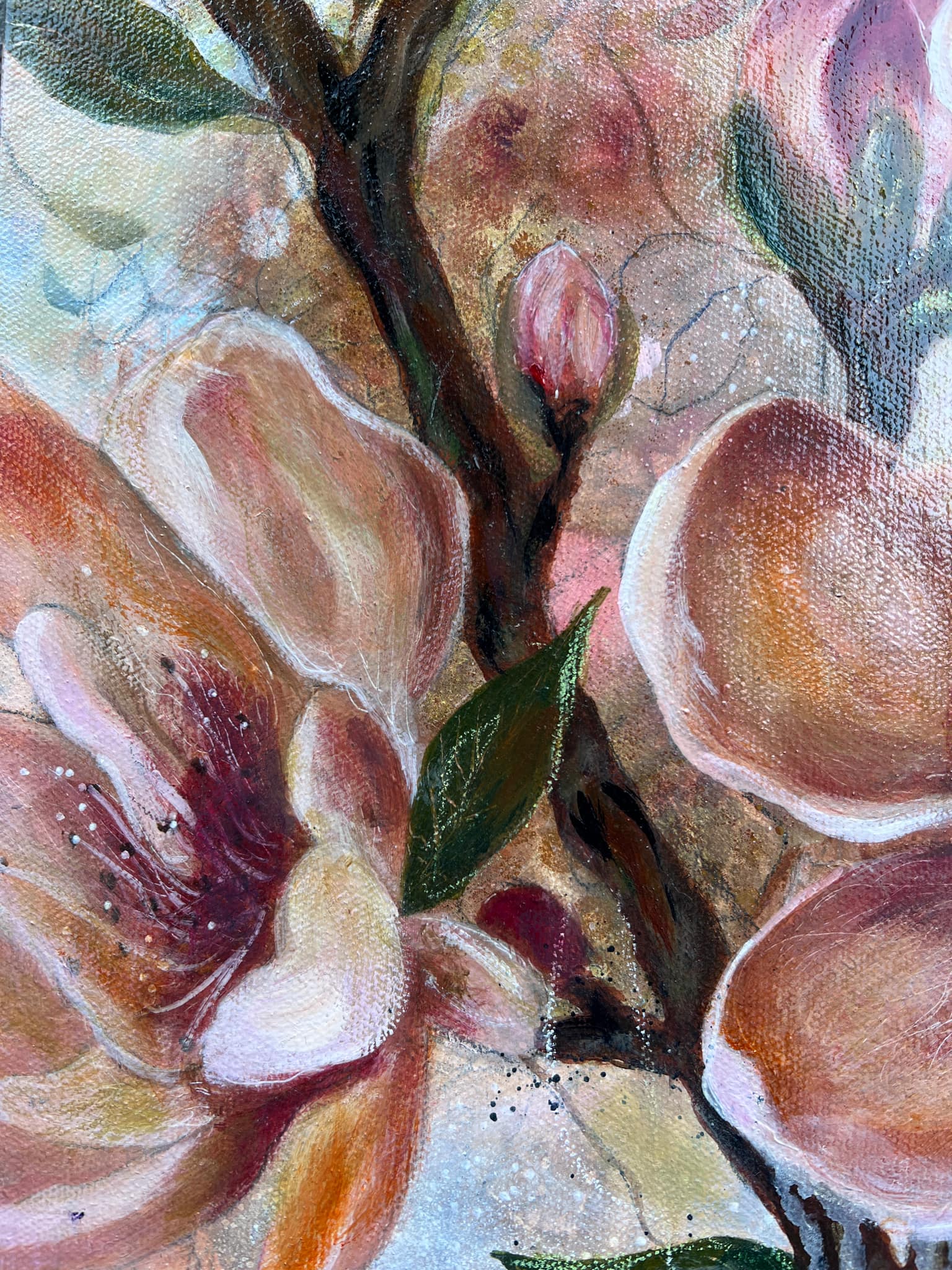 A8b453a0 510d 4a2c B802 66300014968d