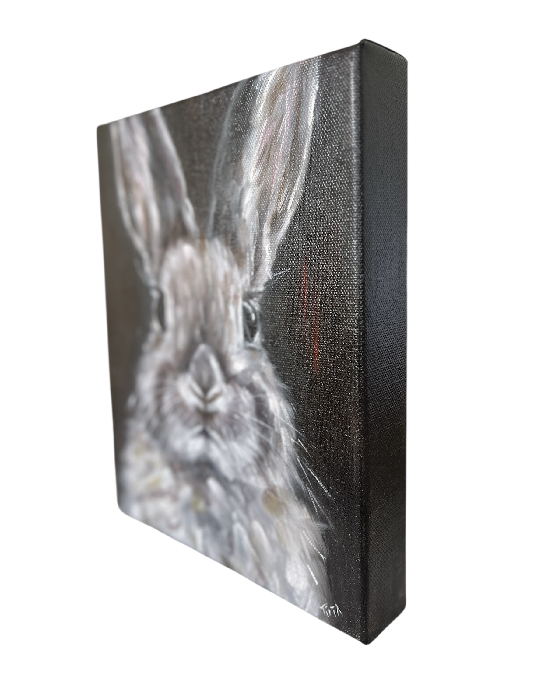 Photoroom 20251024 113446