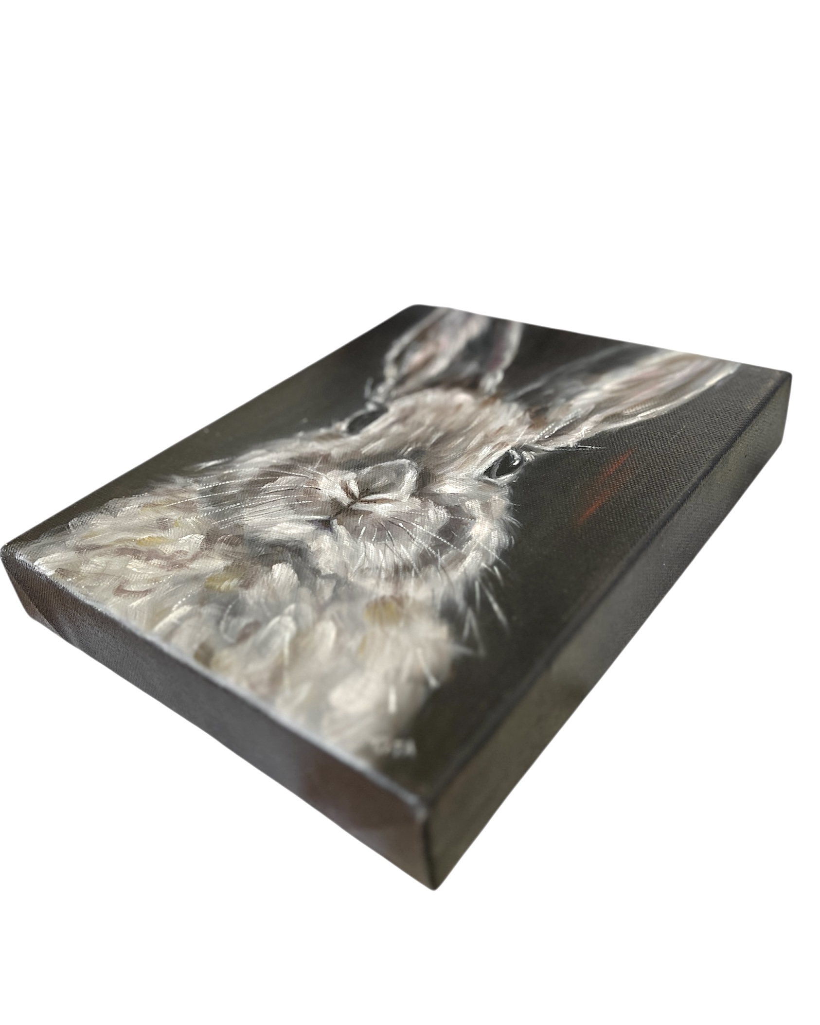 Photoroom 20251024 125510