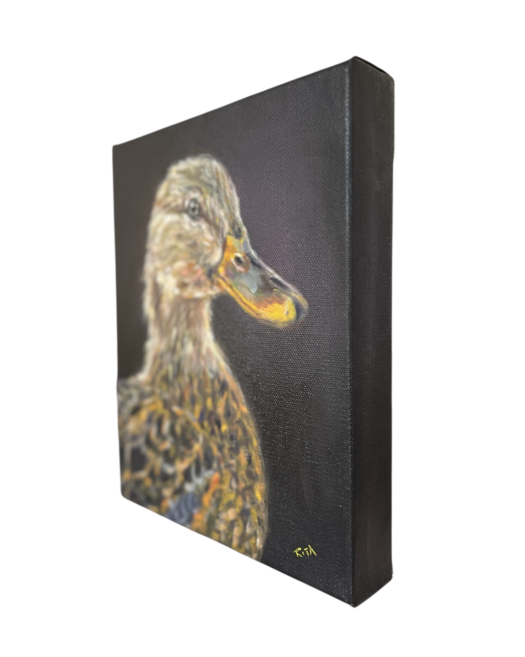 Photoroom 20251024 113358