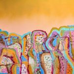 User 32922 Marinka Parnham 2025 10 29 T 21 47 28 933 Z Pxl 20250830 031436768~3.jpg