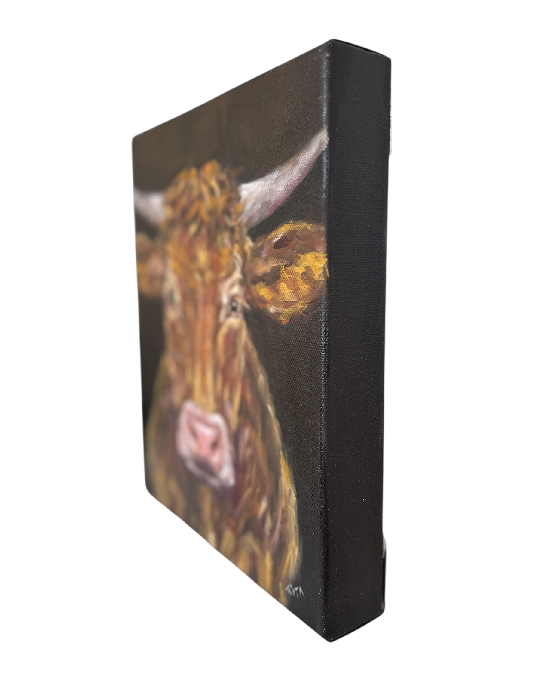 Photoroom 20251024 113338