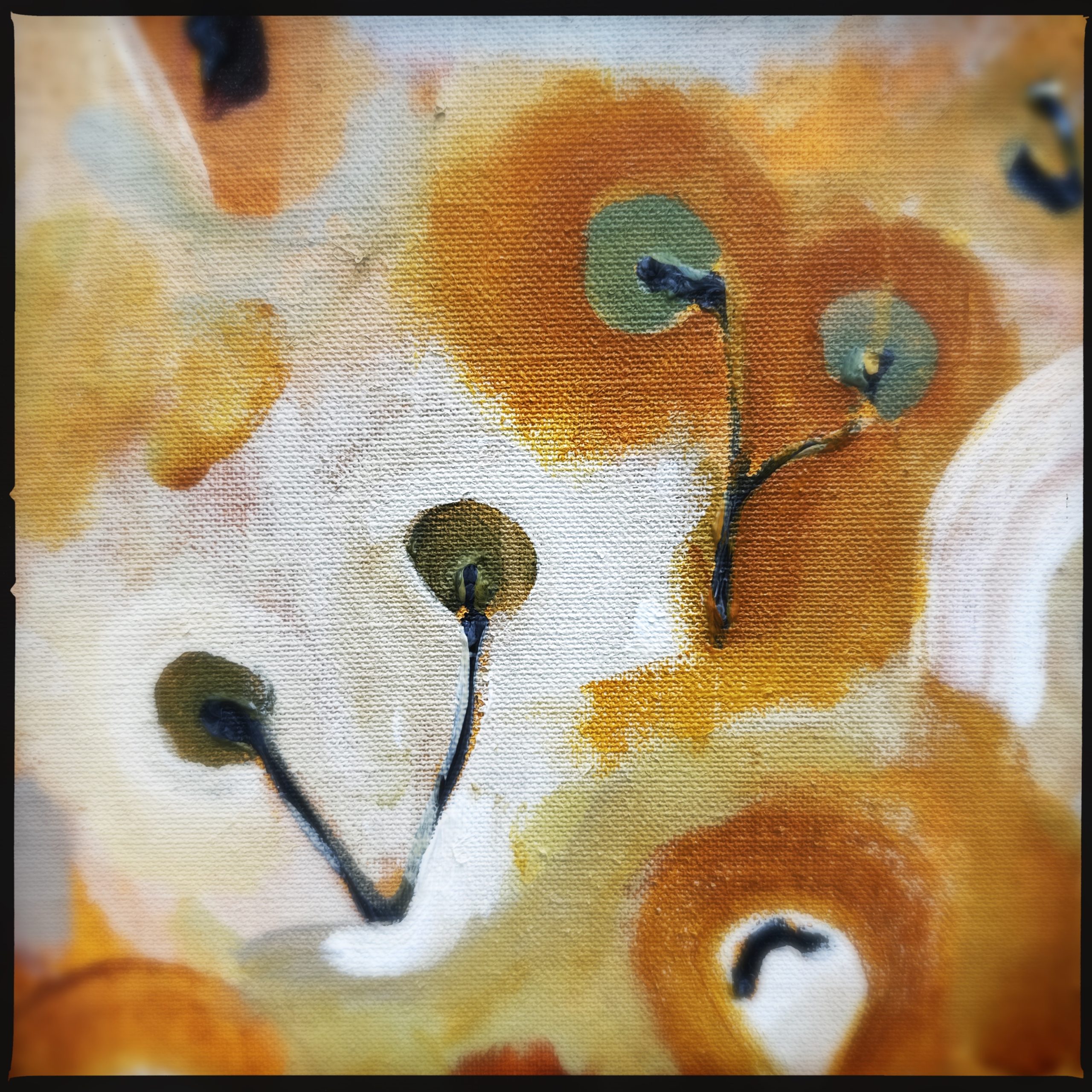 Hipstamaticphoto 767338903.875281