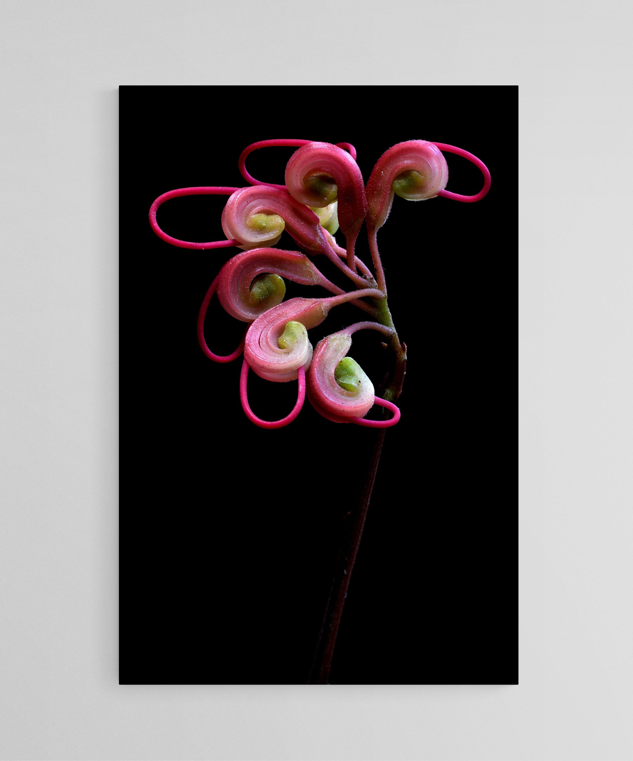 Empty Room 2025 10 28t174837.212