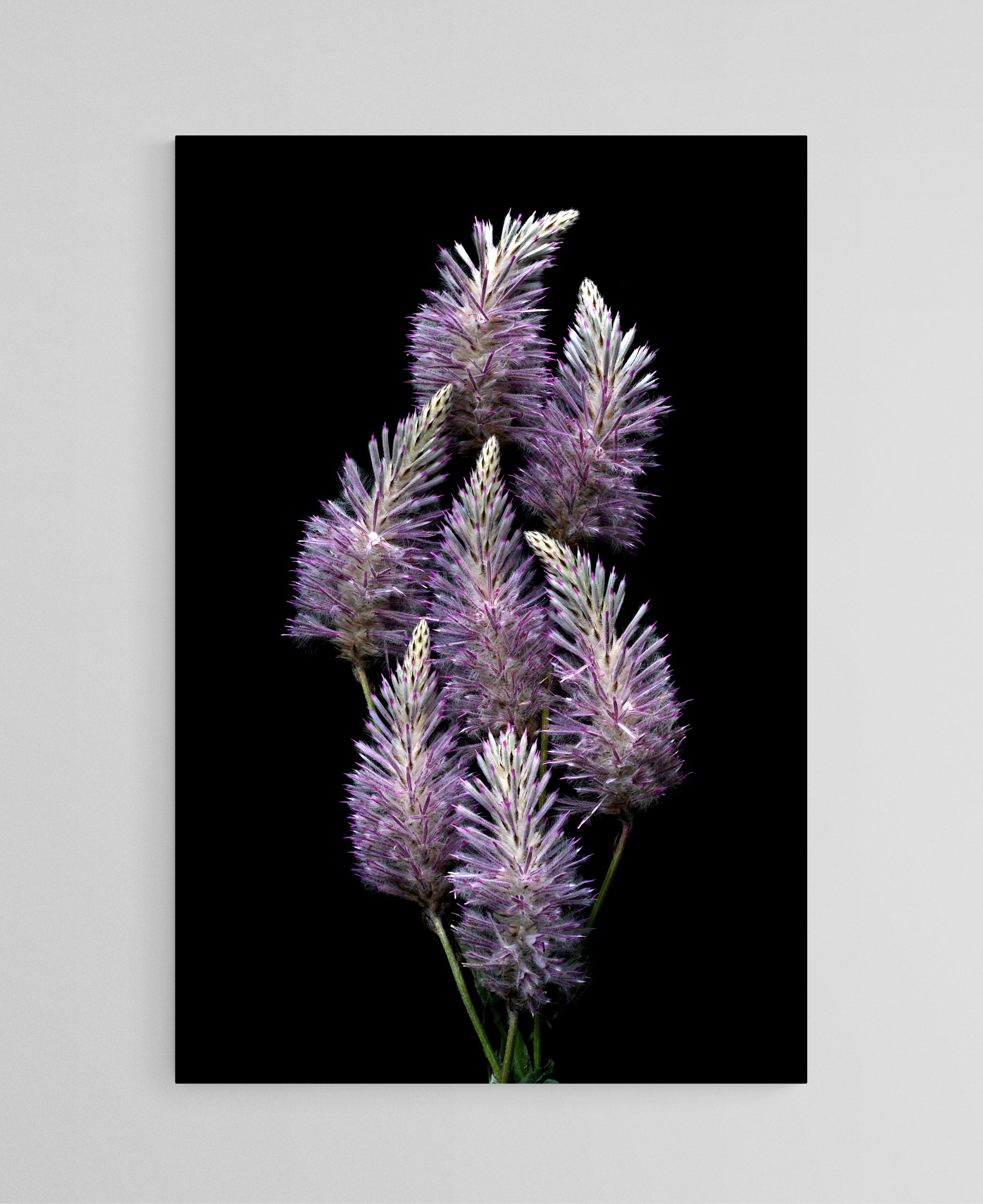 Empty Room 2025 10 20t153848.878