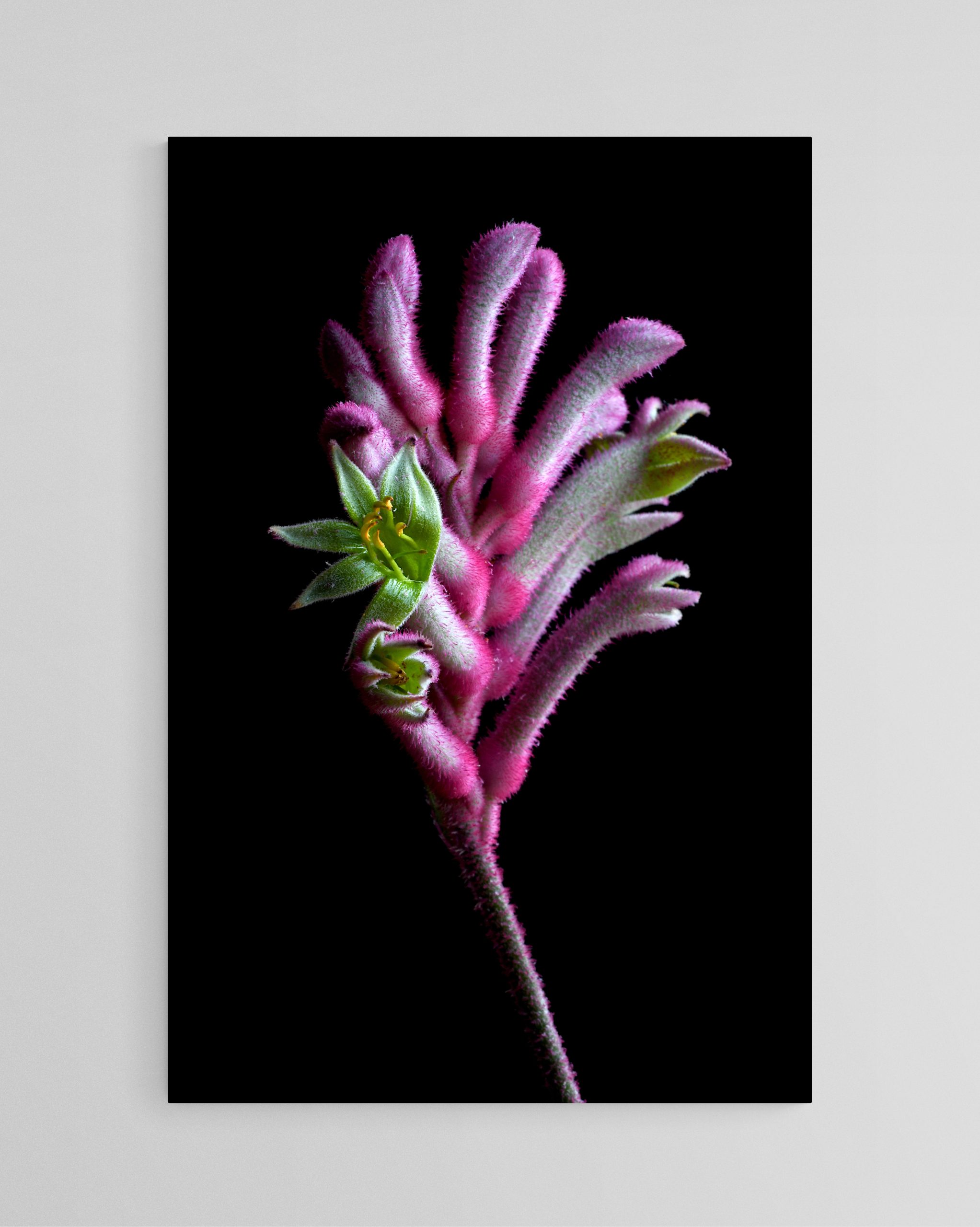 Empty Room 2025 10 27t135423.385