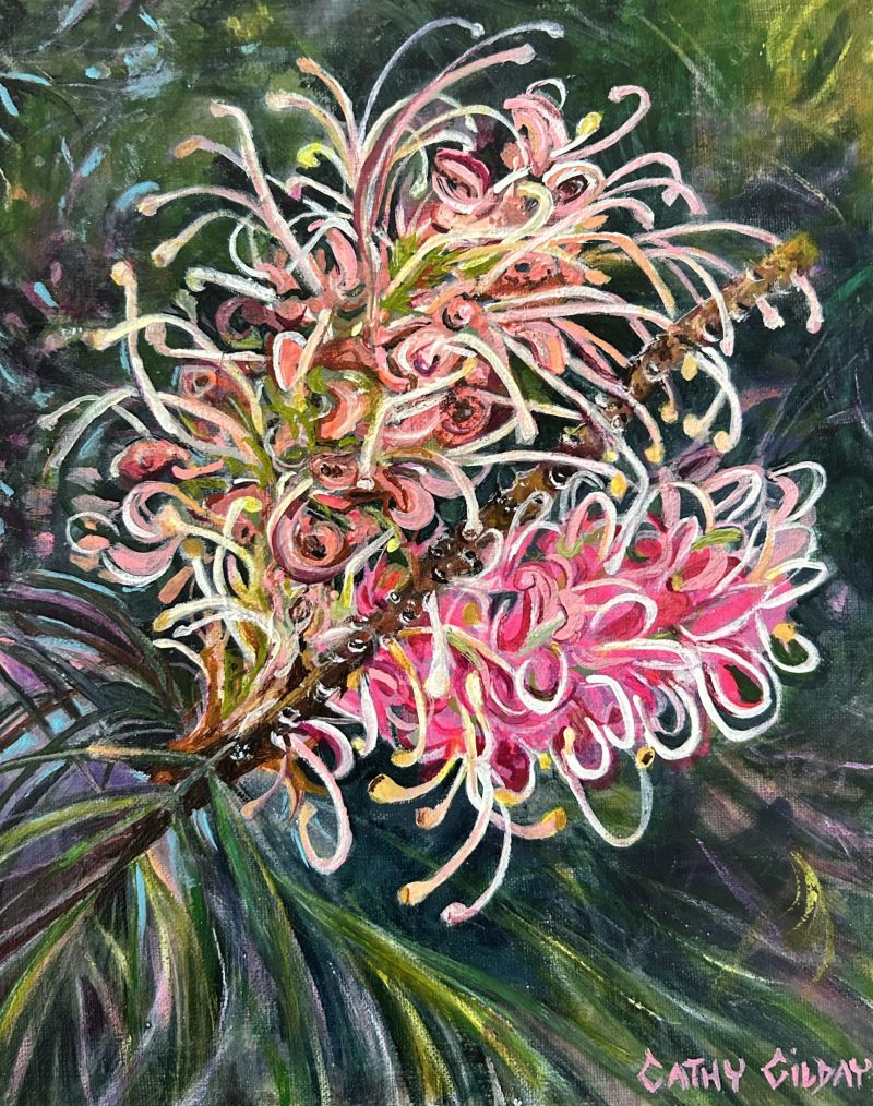 Pink Grevillea on Green