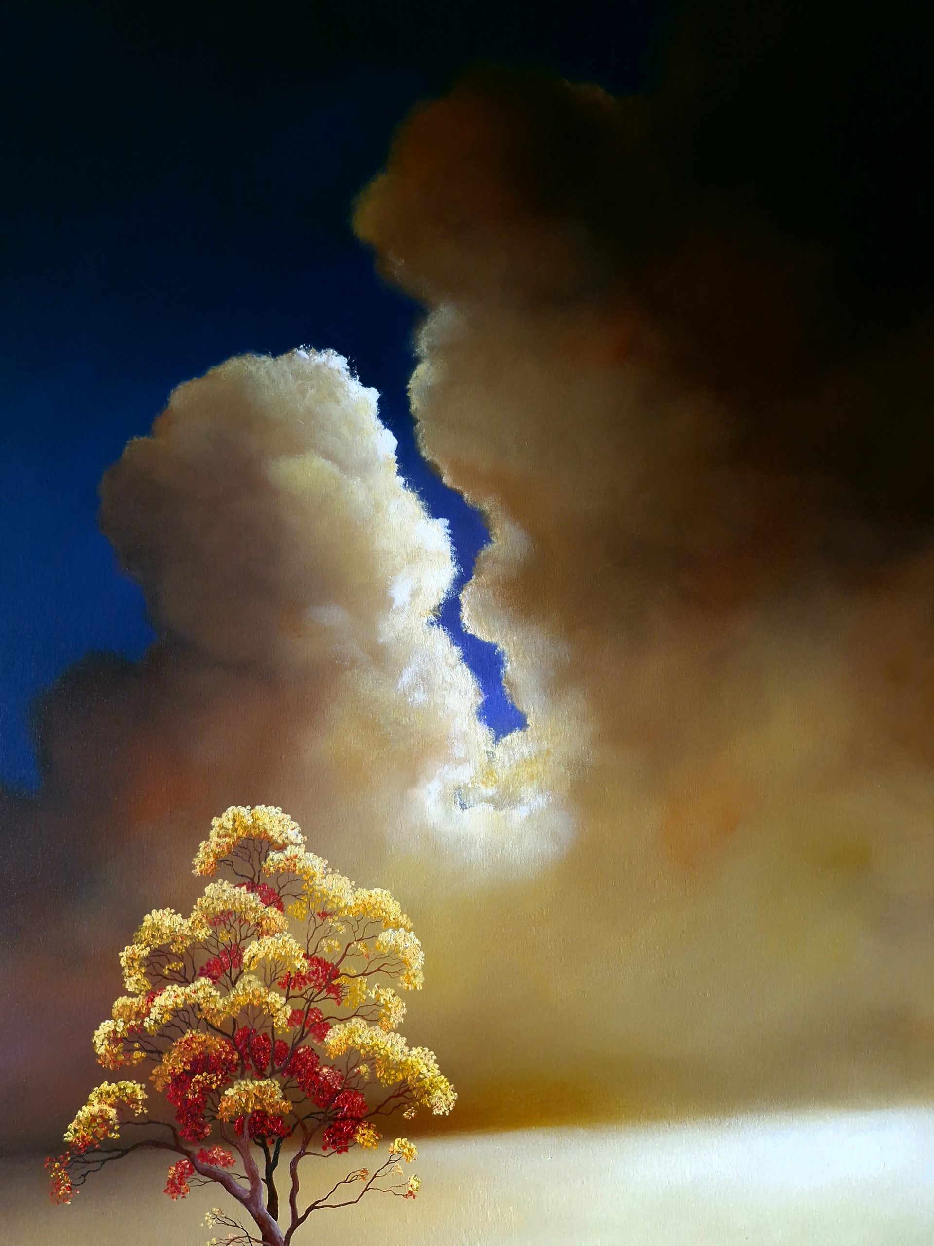 Sky Unfolding Lucinda Leveille 2