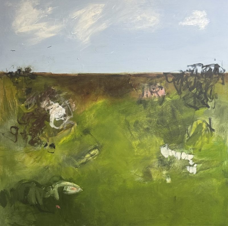 Countryside – The Farm Paddock