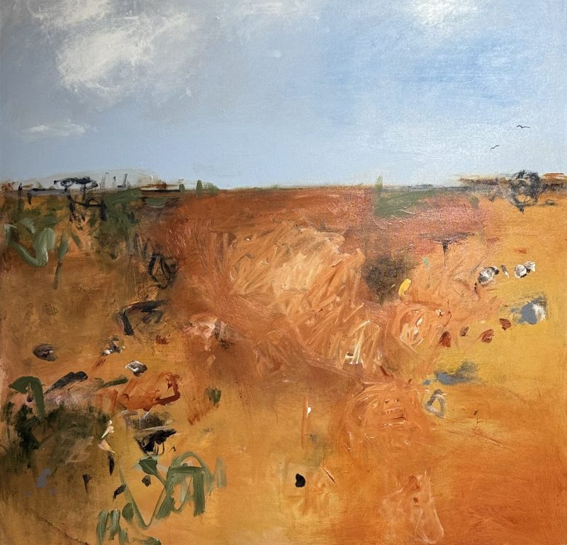 Spring in the Outback
