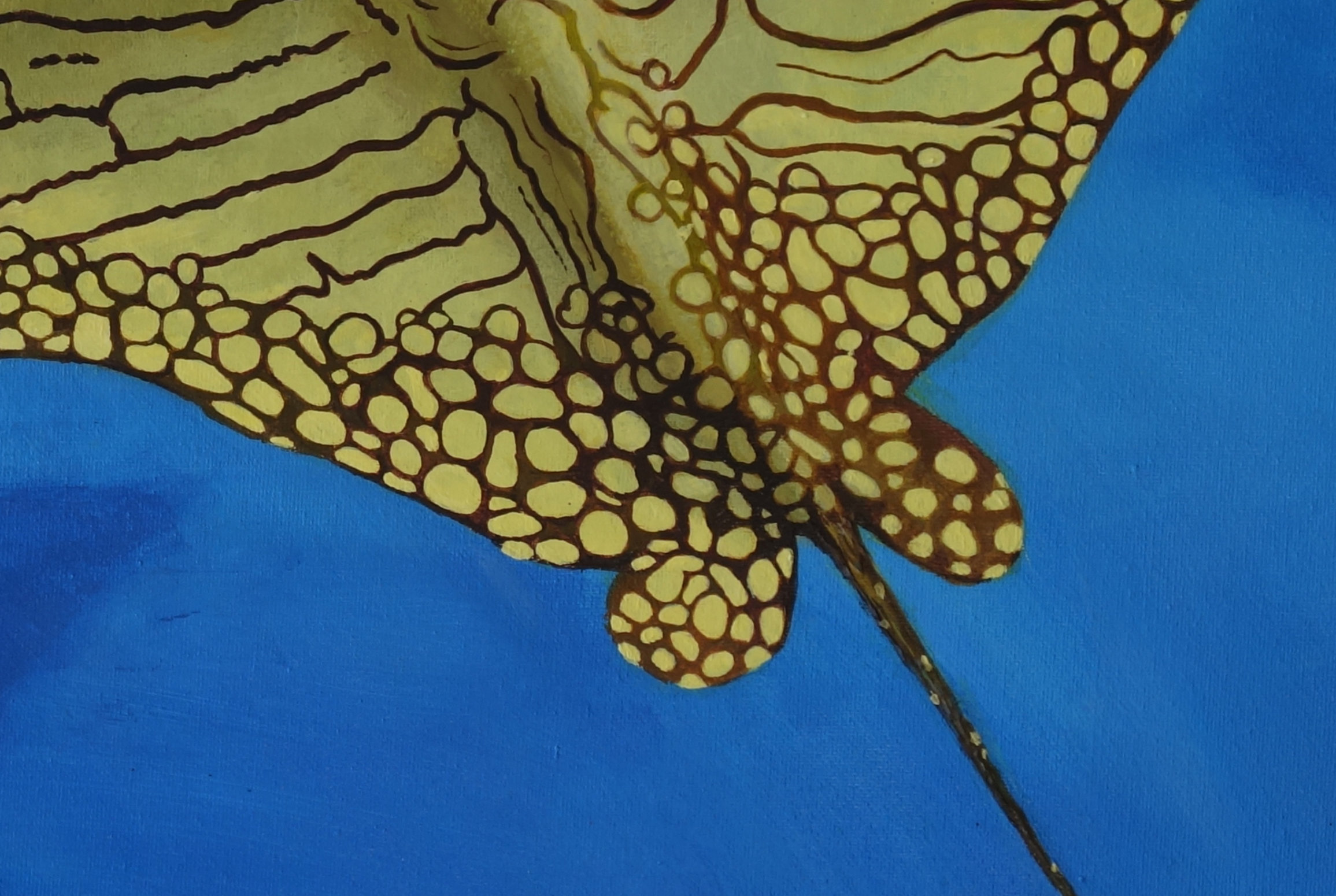 Ornate Eagle Ray Cu 1550px